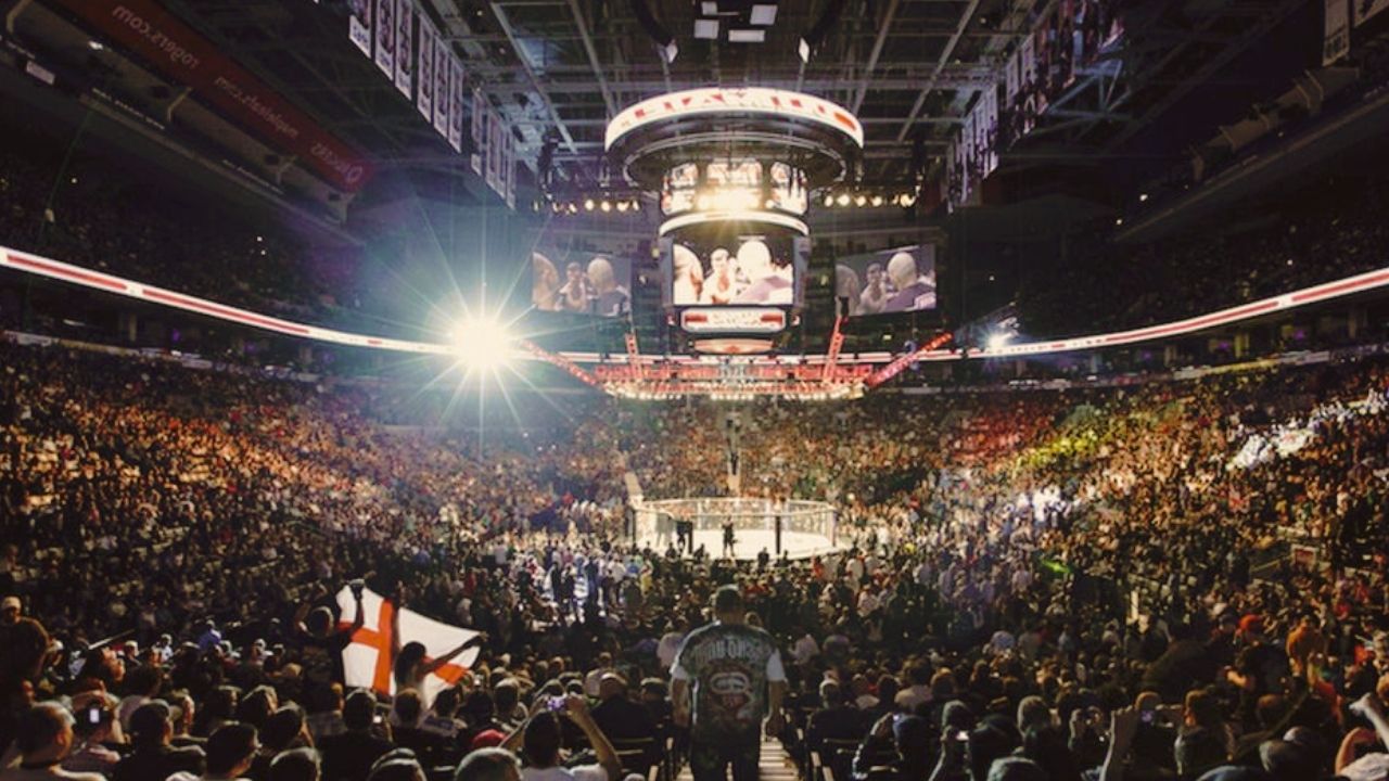 A group of people watching a UFC event 