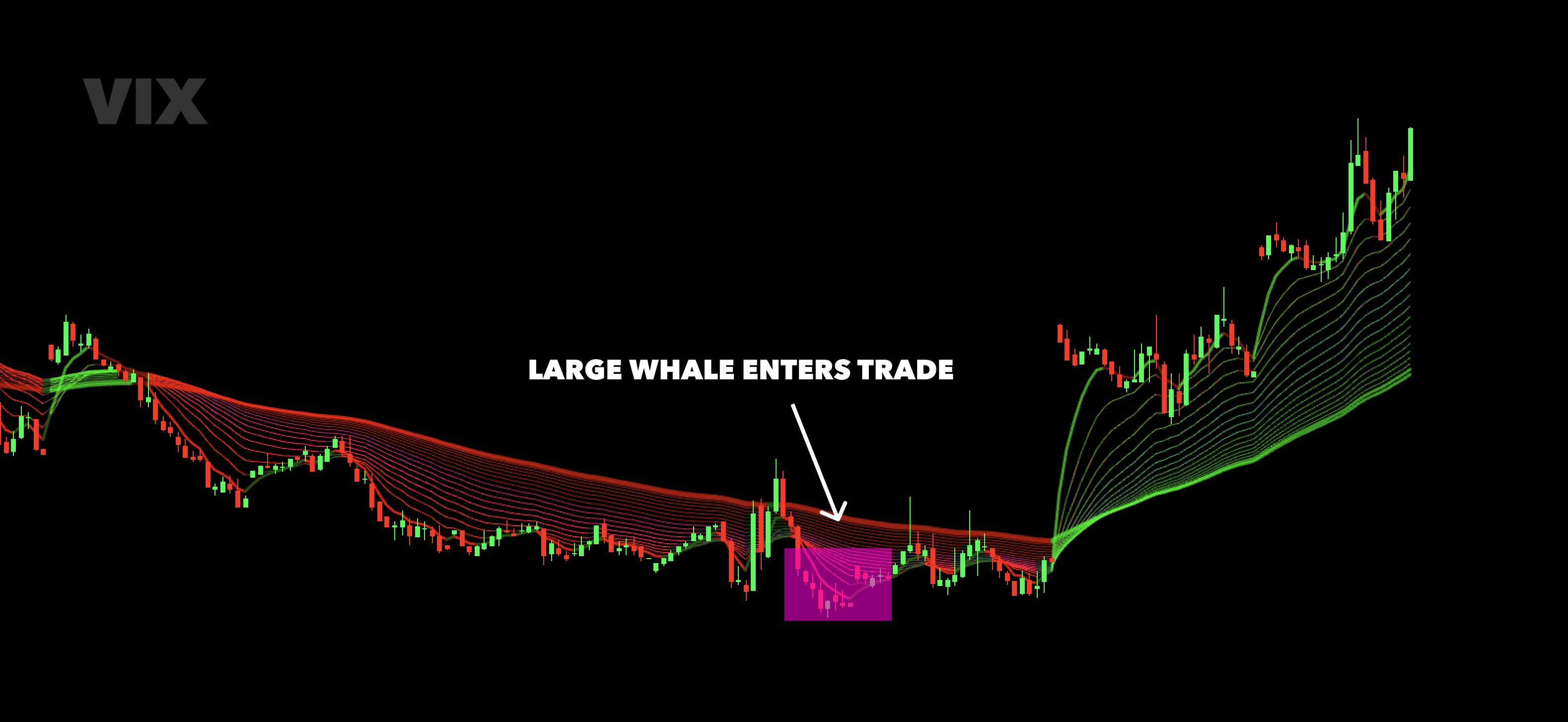Large VIX whale entering trade on VIX chart