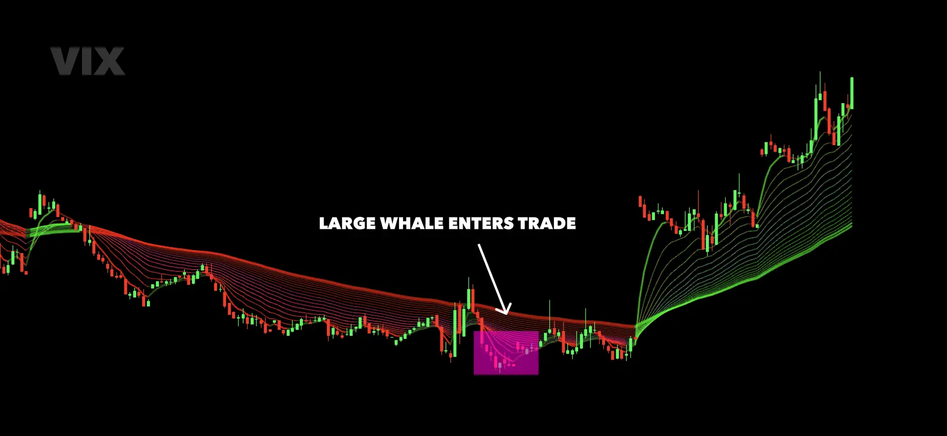 Large VIX whale entering trade on VIX chart