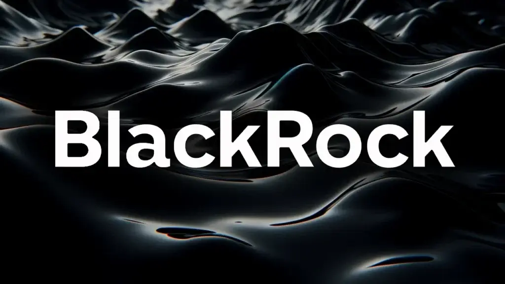 Blackrock-Statistik 2024
