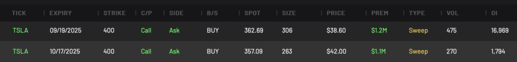 More Bullish TSLA Calls Observed Today