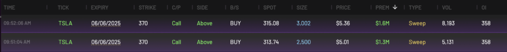 TSLA Call Options
