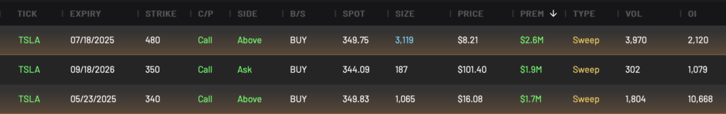 TSLA Bullish Call Leaps