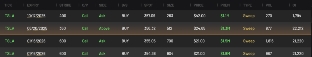 Bullish TSLA Call LEAPS