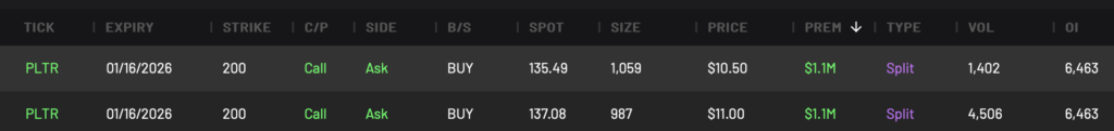 PLTR 200C LEAPS expiring 1/16/2026