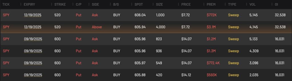 SPY Puts