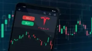 TSLA 400C LEAPS