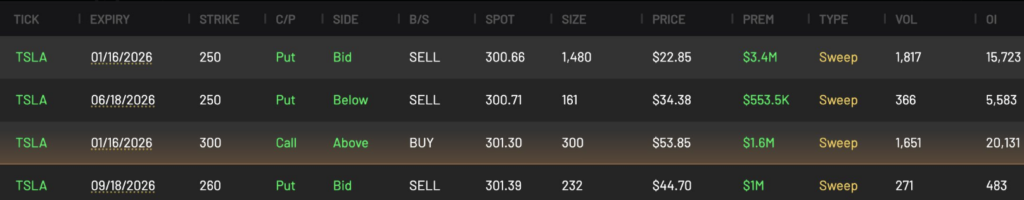 Bullish TSLA Puts and Calls across multiple expiries