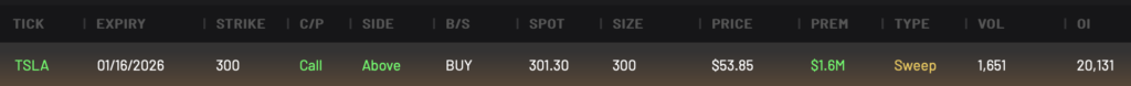 TSLA Bullish 300C expiring 1/16/2026