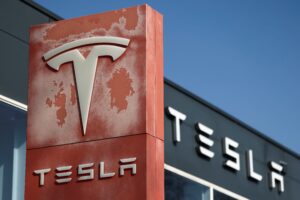 tesla options