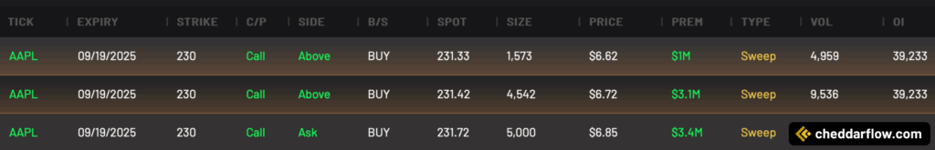 AAPL 230C expiring 9/19/2025