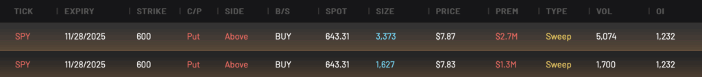 Bearish SPY 600P expiring 11/28/2025