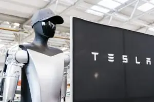 tsla options