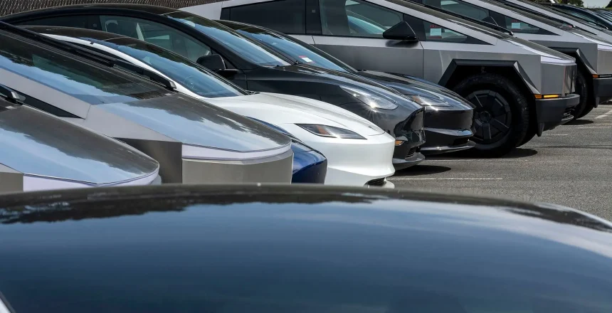 Bearish TSLA Put Options
