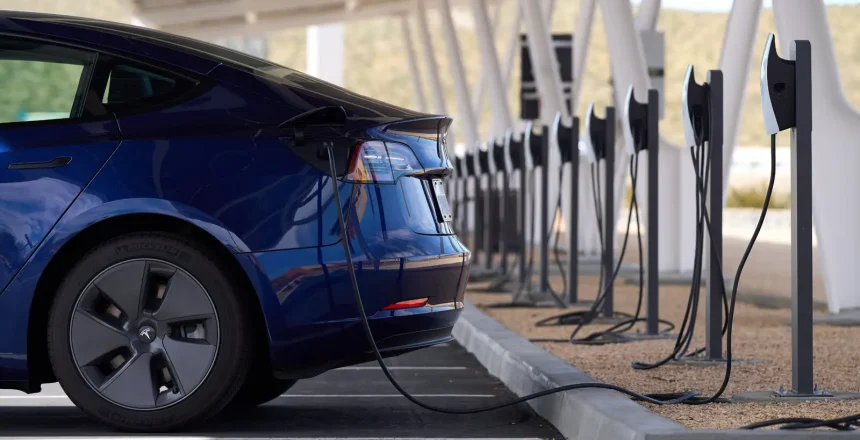 TSLA options