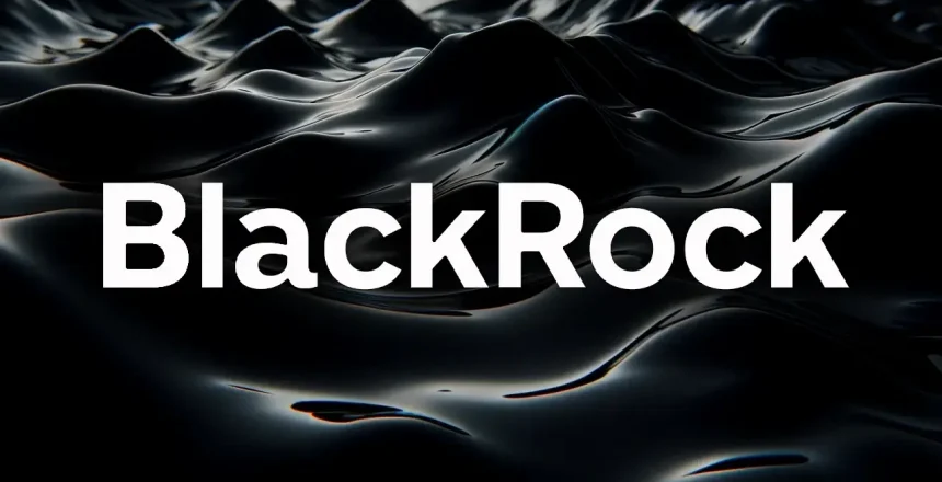 Blackrock-Statistik 2024